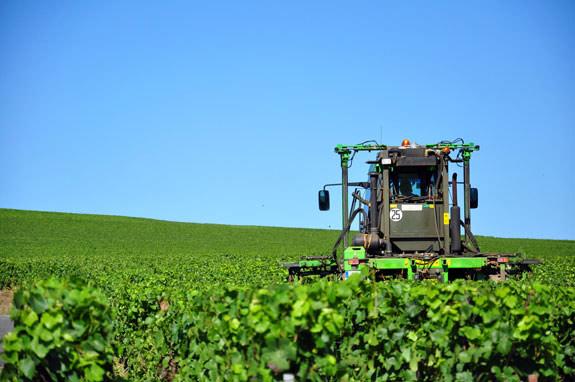 Revenu viticole 2012<br><b>La viticulture fait les frais dune petite rcolte</b>