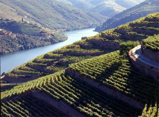 Dcouverte<br><b>Les vins de la Valle du Douro au Portugal</b>