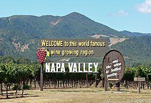 Californie<br><b>Un record pour la vente aux enchres de la Napa Valley</b>