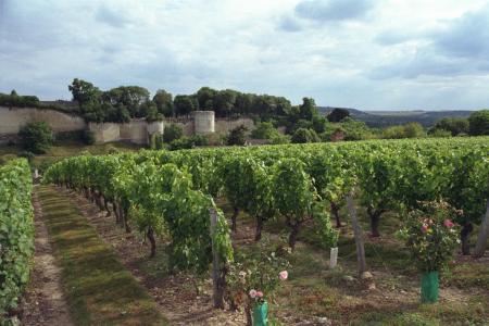 Val de Loire<br><b>Extension de l'aire d'appellation Chinon</b>