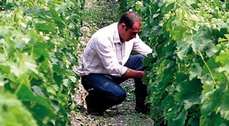 Bordeaux Sciences Agro<br><b>Terroir and Vineyard Management</b>