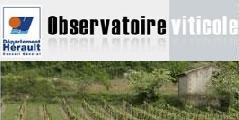 Plateforme web<br><b>Nouveauts sur le site de lObservatoire Viticole du CG34</b>