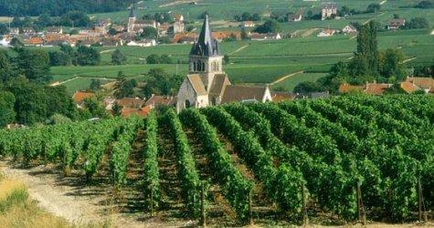 Ambassadeur<br><b>La Champagne, premier ple dexcellence en oenotourisme</b>
