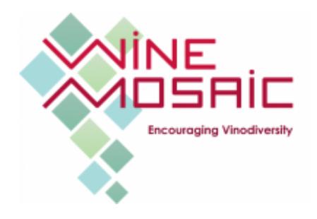 Agenda Vinexpo<br><b>Wine Mosaic prsente 100 cpages originaux</b>