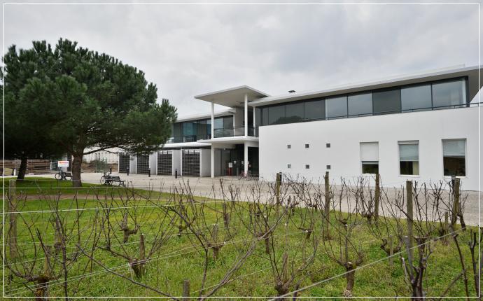 SAVE THE DATE - CLIMWINE2016 - 10-13 Avril 2016 - Bordeaux Sciences Agro (Gradignan  France)<br><b>Symposium International Adaptation de la viticulture et de la production de vin dans un contexte de changement climatique </b>