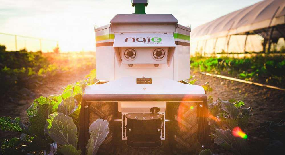 Nao Technologies<br><b>La robotique au service des viticulteurs</b>