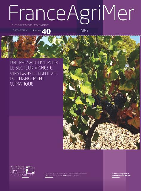 France Agrimer<br><b>Une prospective pour le secteur vignes et vins dans le contexte du changement climatique</b>