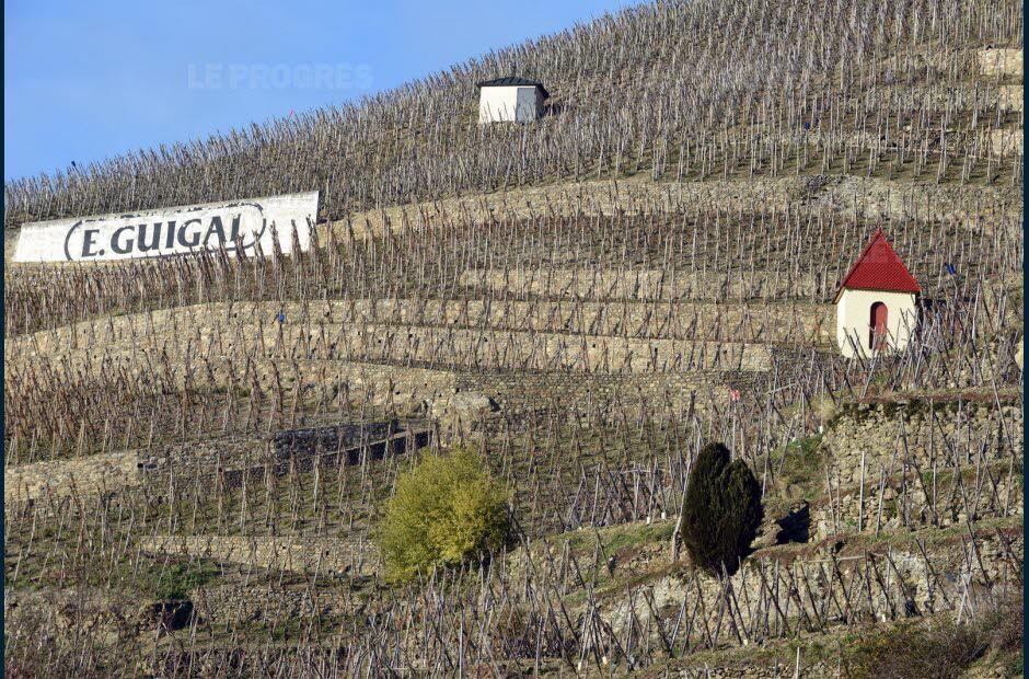 Guigal<br><b>La marque de vin française la plus admirée au monde</b>
