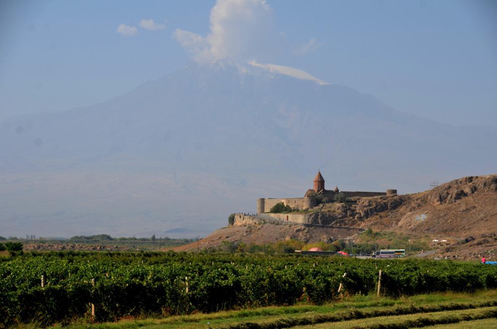 Armnie<br><b>Augmentation des achats de raisins dans le secteur vinicole</b>