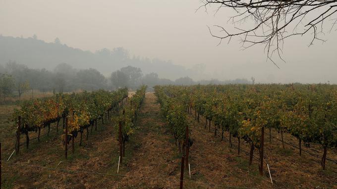 Incendie<br><b>Trois proprits viticoles dtruites par le feu en Californie</b>