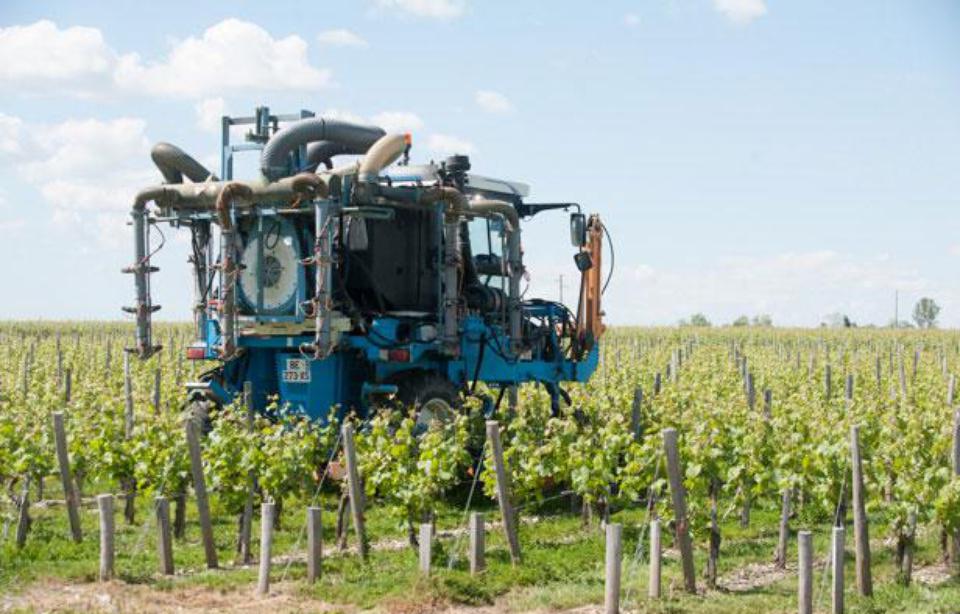 Pesticides<br><b>L’interprofession des vins de Bordeaux parle d'un engagement fort sur le terrain</b>