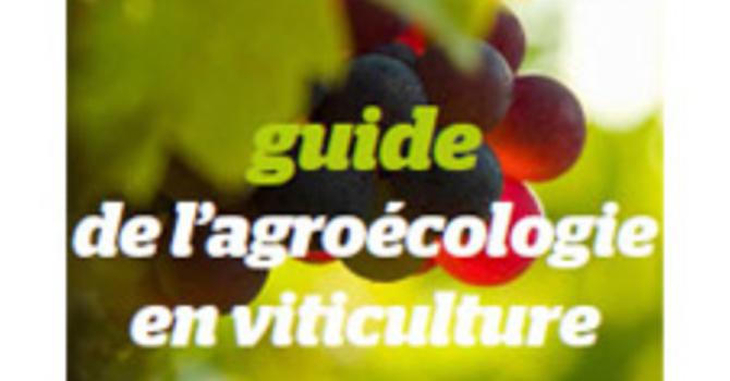 Enqute nationale<br><b>Transition agrocologique en viticulture</b>
