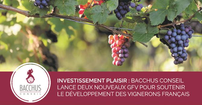 Investir en se faisant plaisir<br><b>Bacchus Conseil lance deux GFV pour soutenir les vignerons français</b>
