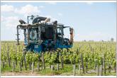 Pesticides - L’interprofession des vins de Bordeaux parle d'un engagement...